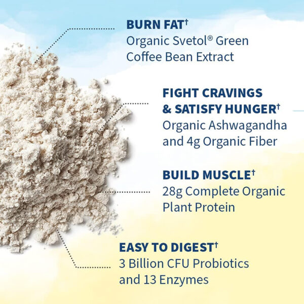 Garden of Life Raw Organic Fit Vegan Protein - Image 3