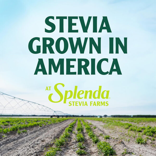 SPLENDA Stevia Zero Calorie Sweetener - Image 6